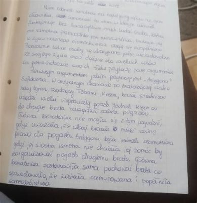  Smażony Zeszyt: Czy Możesz Powstrzymać Się Od Spróbowania Tego Pikantnego Specjału z Jingdezhen?